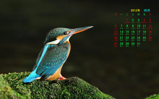 498599 (a): :1920x1200